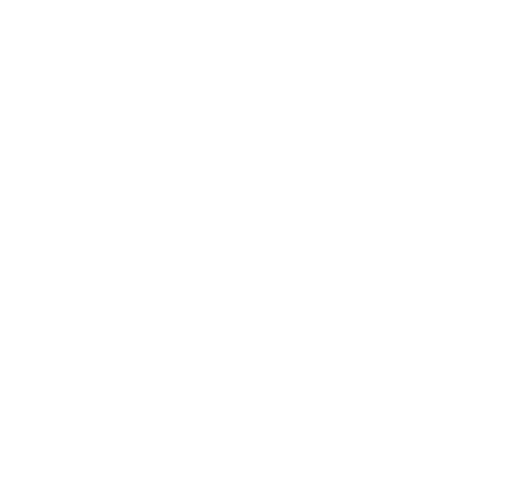 Spartan Cybersecurity Logo